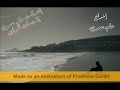 حلم عمري + لحن المواجع