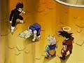 Vegeta`s Turning
