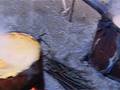 L'ora della Polenta