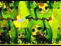 Loituma's Polka (Ievan Polkka) - shirobon (8bitcollective)