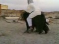 Turkisk moped :)
