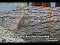 Click here to watch this video Pacific Coast Stump Grinding Service - (250)652-4788