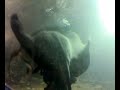 ocean-world-manly-sydney.html