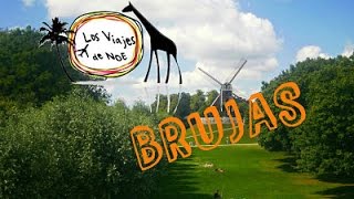 Vídeo turístico de Brujas
