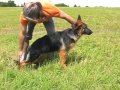 Thumbnail #3
