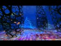 Reza Khan Blue Dreams In Rio Video and Lyrics