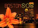 bostonsos intro