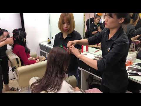 323 Video của Salon chuyến nối tóc Bắc Hugo