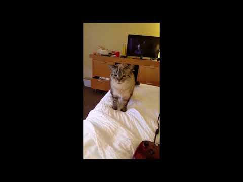 Video placeholder image