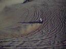 Pismo sand dunes