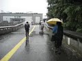Tokyo Snow