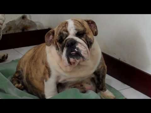 how to know birth time