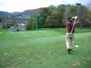 Joey swings at Holiday Valley