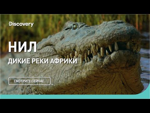 Нил. Дикие реки Африки. Discovery