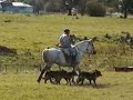 chile-the-paine-national-park-and-punta-arenas.html