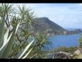 Guadeloupe Et Les Saintes. Avi