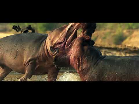 Uganda The Pearl of Africa!