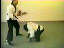 scimmia che pratica il kung fu