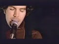 Dynamite Walls - Hayden
