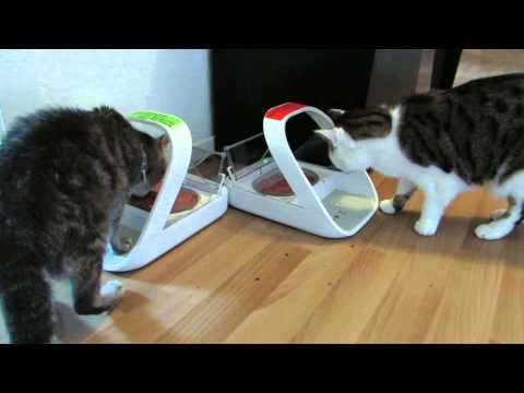 Unsere neuen Futterautomaten