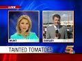 dangerous tomatoes
