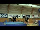 EM 2008 training