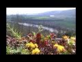 HTC ChaCha - Facebook Phone - videos and photos (in real life) - 