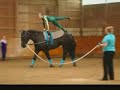 Vaulting Celebration
