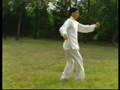陳式太極拳老架一路 Taiji Chen Style, Traditional One 陳小星