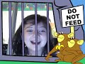 3yeaman's webcam video March 16, 2010, 09:07 PM