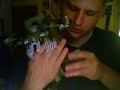 2007-transformers-leader-class-brawl-toy-review.html