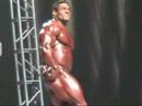 2007 Mr.Olympia Finals - Gustava Badell (FitnessX.com)