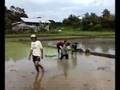 Manaoag building ecclesial community bec babasit