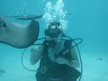 Snapper Attack Grand Cayman Diving Snapper Attack Grand Cayman Diving