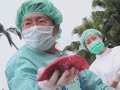 Organ Harvesting Exposed, Part 3(1/3)