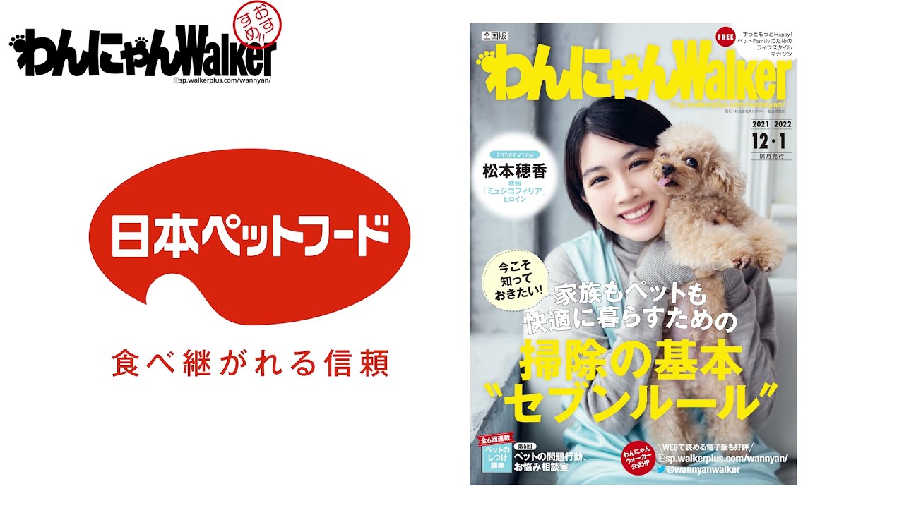 日本ペットフード　新しくなった「ビューティープロ キャット」に待望の肝臓ケアが登場！