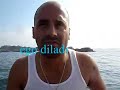 sakis kostas  black fish in rhode island