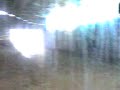 star gallopin 2