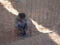 green city zoo