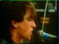 u2 i will follow U2 Live @ Sportpark Geleen, Holland,1981