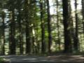 Vyrnwy in Sept 09