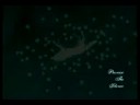 Promise The Silence