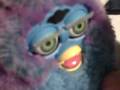 FURBYS are ALIVE!!!