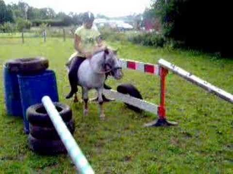 ponyriding