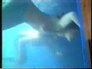 Mermaids of Weymouth