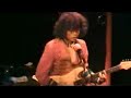 The Captains - The Love Ninja (Live)