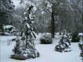 Cutrer-Chouest Family SNOW December 11, 2008 .wmv