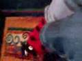 videos de Bug chronicles- Bug fight over coolness!