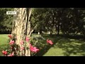 Coast to Coast 06 -- The Baltic Coast, Germany ...