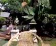 Chaing Mai Massage Parlour